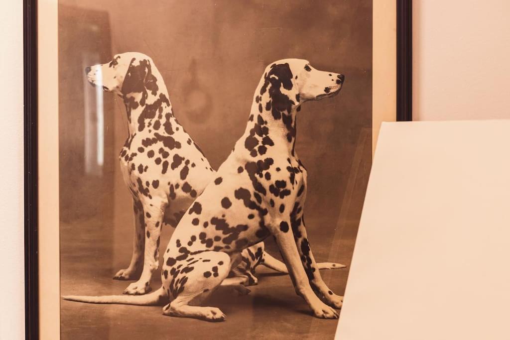 Art Studio Myslym Shyri Tiranë Ngoại thất bức ảnh